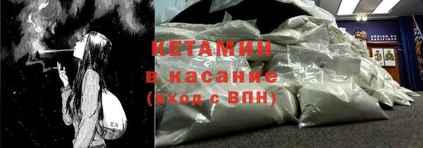 трава Белокуриха