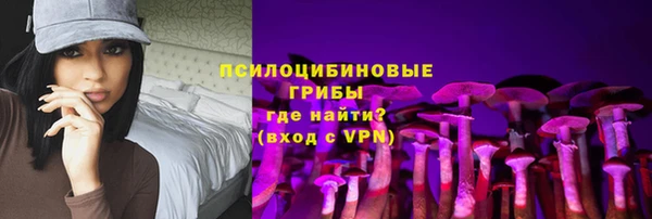 трава Белокуриха