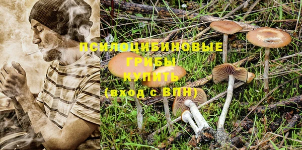 дмт Снежинск