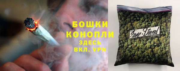 трава Белокуриха