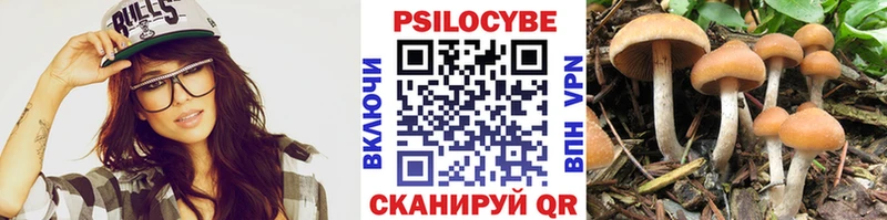 Галлюциногенные грибы MAGIC MUSHROOMS  Куровское 